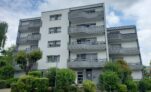 Appartement T3 n°13 résidence Le Limousin - Image 9